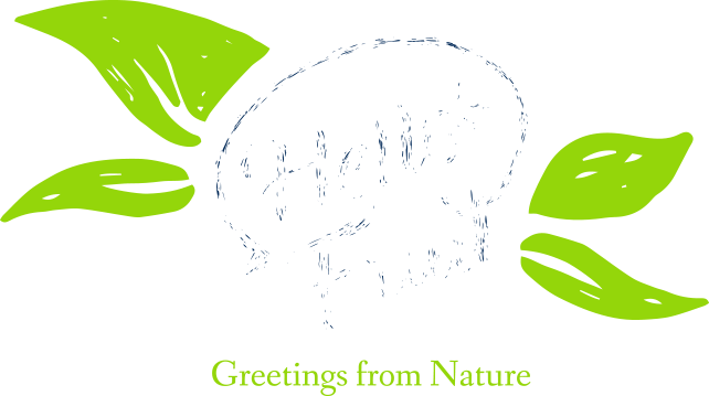 Hello Fruit logo